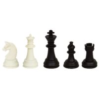 ΠΙΟΝΙΑ ΓΙΑ ΣΚΑΚΙ ΜΕΓΑΛΟ  ToyMarkt 89342