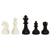 ΠΙΟΝΙΑ ΓΙΑ ΣΚΑΚΙ ΜΙΚΡΟ  ToyMarkt 89594
