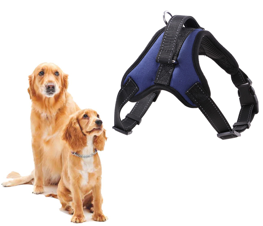 Σαμαράκι σκύλου ANM-0002 Νο M, μπλε - Image 3
