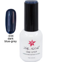 Ημιμόνιμο μανό one step 15ml - Dark blue-grey [40504001-034]