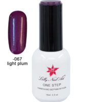 Ημιμόνιμο μανό one step 15ml - Light plum [40504001-067]