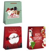 ΤΣΑΝΤΑ ΔΩΡΟΥ ΧΡΙΣΤΟΥΓΕΝΝΩΝ 14x11x6cm Xmasfest 1131829