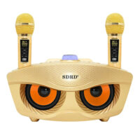 Σύστημα Karaoke 3" με Ενσύρματα Μικρόφωνα και SD, USB, AUX, TF SD-306-G Χρυσό