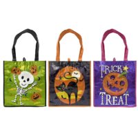 ΤΣΑΝΤΑ HALLOWEEN ΓΥΑΛΙΣΤΕΡΗ 33x31cm Carnavalista 232364
