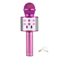 Αυτόνομο Ασύρματο Μικρόφωνο Karaoke με Ηχείο και Λειτουργία Εγγραφής Φωνής WS-858 Ροζ
